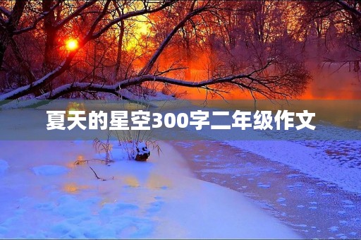 夏天的星空300字二年级作文 夏天的星空300字二年级作文