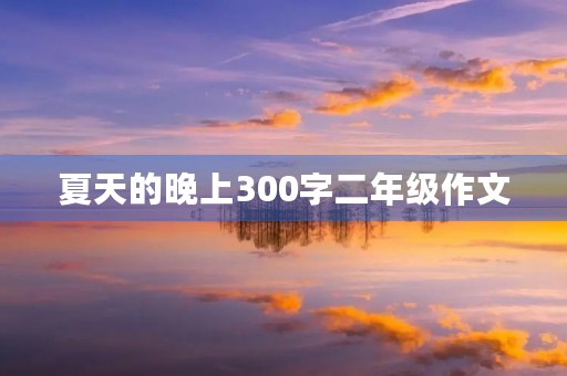 夏天的晚上300字二年级作文