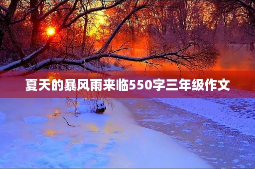 夏天的暴风雨来临550字三年级作文 夏天的暴风雨来临550字三年级作文