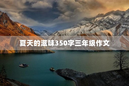 夏天的滋味350字三年级作文