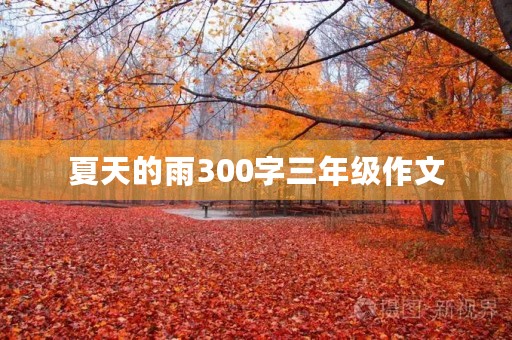 夏天的雨300字三年级作文 夏天的雨300字三年级作文