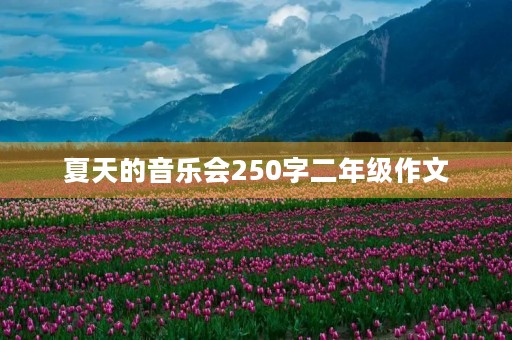 夏天的音乐会250字二年级作文 夏天的音乐会250字二年级作文