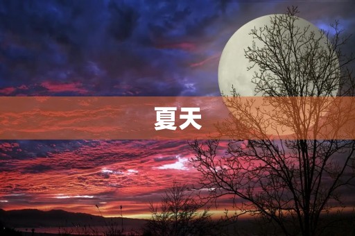 夏天，最美的季节400字三年级作文