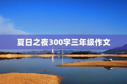 夏日之夜300字三年级作文