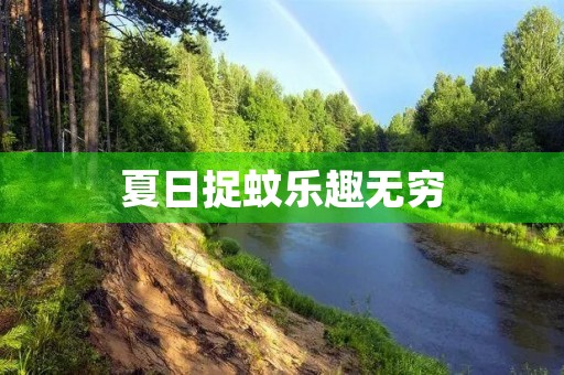 夏日捉蚊乐趣无穷 夏日捉蚊乐趣无穷