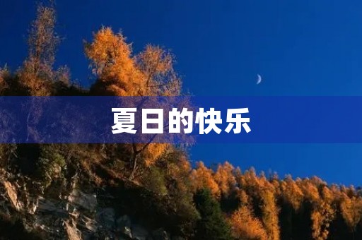 夏日的快乐