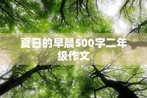 夏日的早晨500字二年级作文