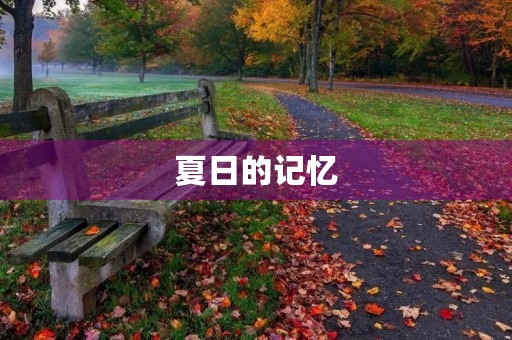 夏日的记忆 夏日的记忆