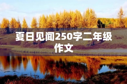 夏日见闻250字二年级作文 夏日见闻250字二年级作文