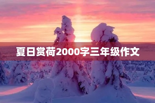 夏日赏荷2000字三年级作文