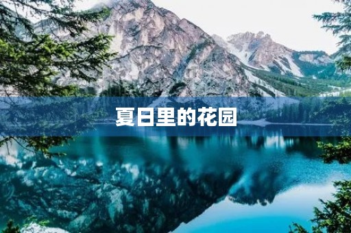 夏日里的花园