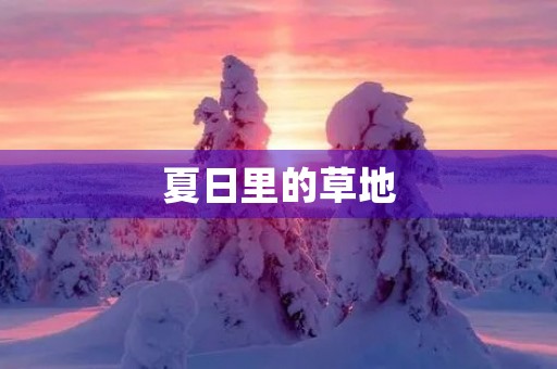 夏日里的草地