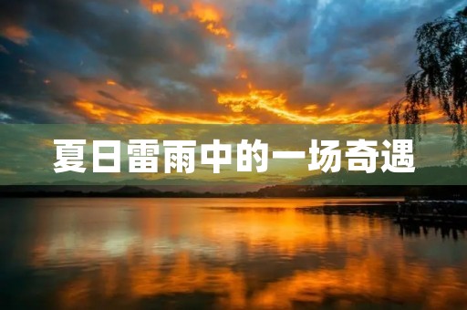 夏日雷雨中的一场奇遇