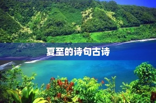夏至的诗句古诗