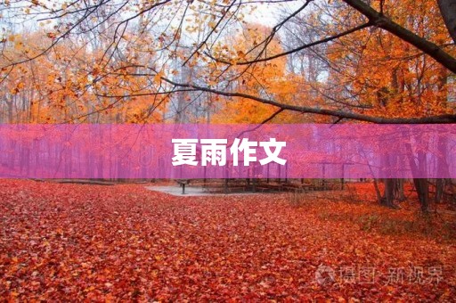 夏雨作文