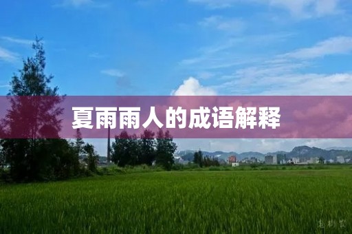 夏雨雨人的成语解释