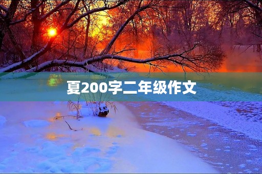 夏200字二年级作文