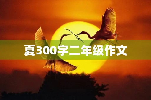 夏300字二年级作文