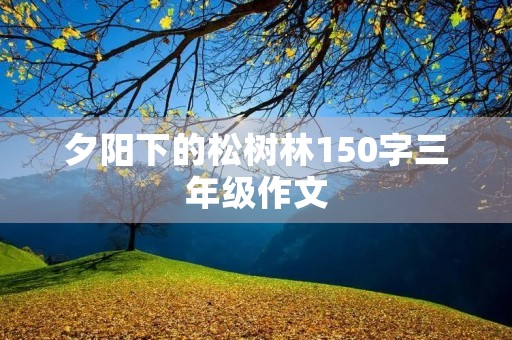 夕阳下的松树林150字三年级作文 夕阳下的松树林150字三年级作文