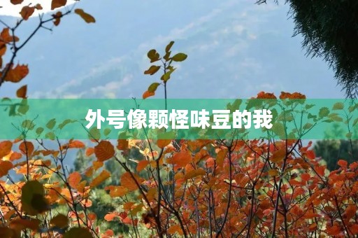 外号像颗怪味豆的我