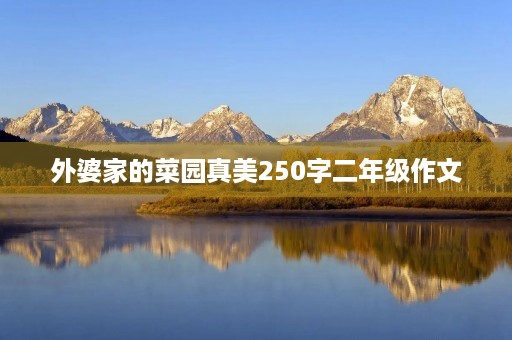 外婆家的菜园真美250字二年级作文