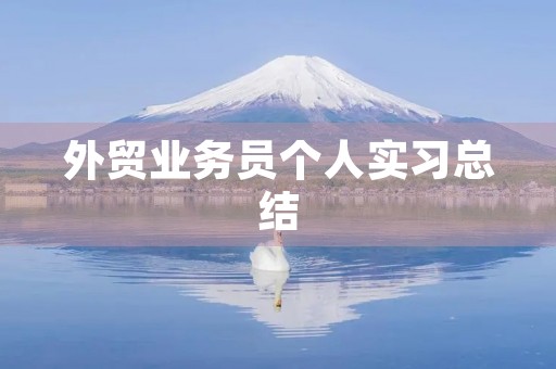 外贸业务员个人实习总结