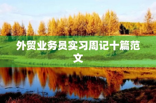 外贸业务员实习周记十篇范文 外贸业务员实习周记十篇范文