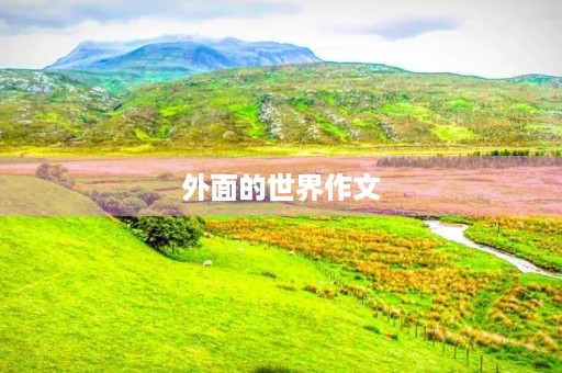 外面的世界作文 外面的世界作文