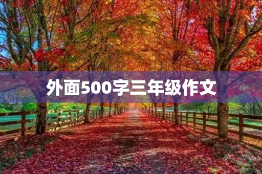 外面500字三年级作文