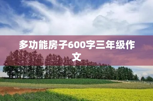 多功能房子600字三年级作文