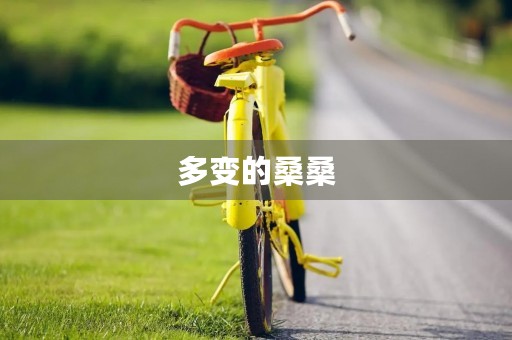 多变的桑桑