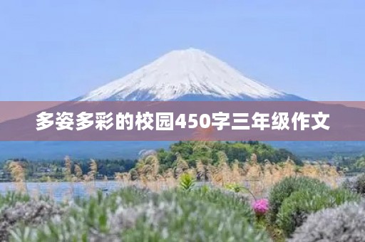 多姿多彩的校园450字三年级作文