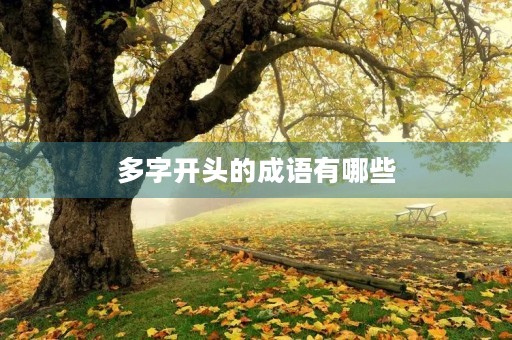多字开头的成语有哪些