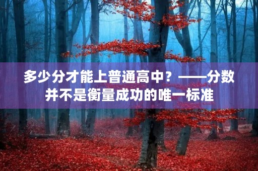 多少分才能上普通高中?——分数并不是衡量成功的唯一标准 多少分才能上普通高中?——分数并不是衡量成功的唯一标准