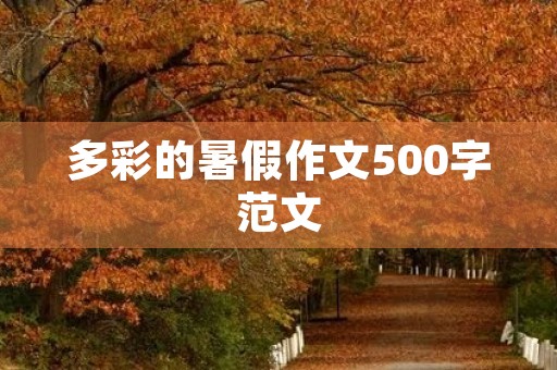 多彩的暑假作文500字范文