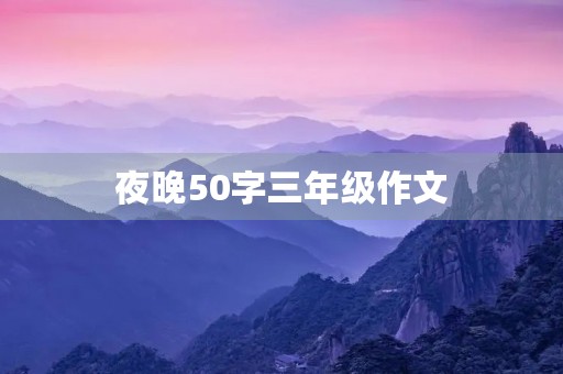 夜晚50字三年级作文