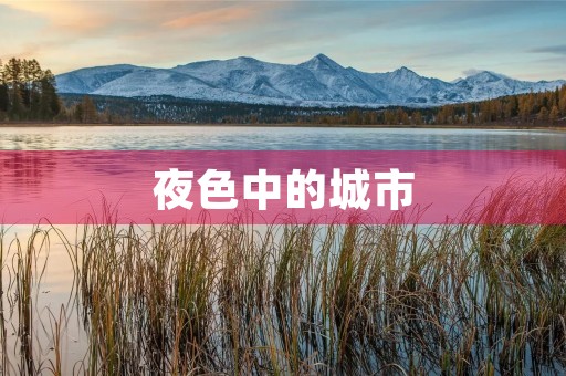 夜色中的城市