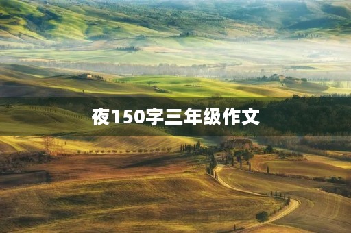 夜150字三年级作文 夜150字三年级作文