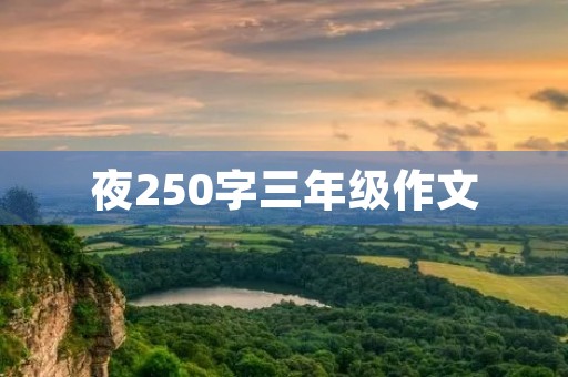 夜250字三年级作文 夜250字三年级作文