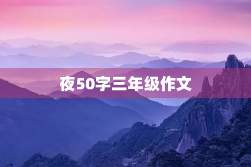 夜50字三年级作文