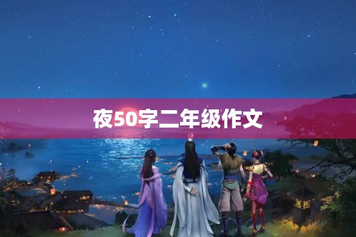 夜50字二年级作文