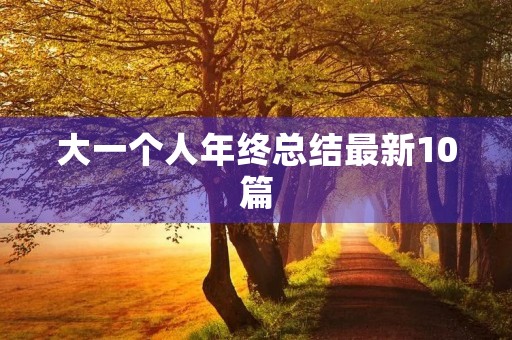 大一个人年终总结最新10篇