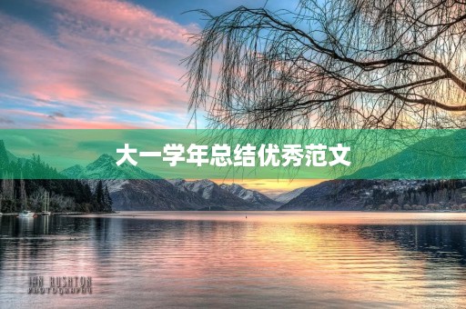 大一学年总结优秀范文
