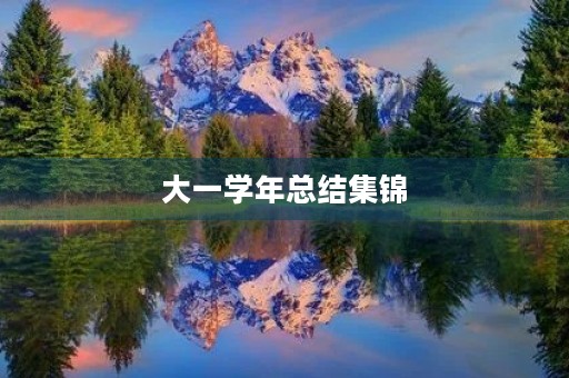 大一学年总结集锦