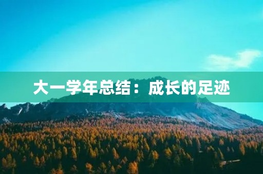 大一学年总结:成长的足迹 大一学年总结:成长的足迹