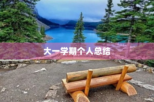大一学期个人总结