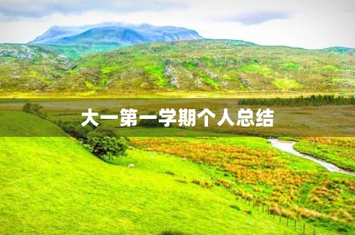 大一第一学期个人总结