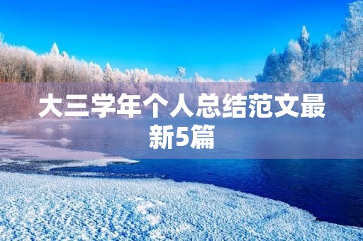 大三学年个人总结范文最新5篇