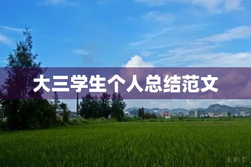 大三学生个人总结范文