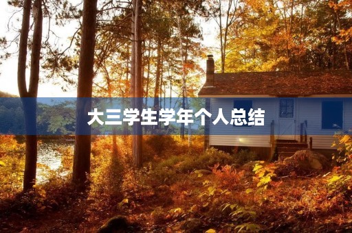 大三学生学年个人总结